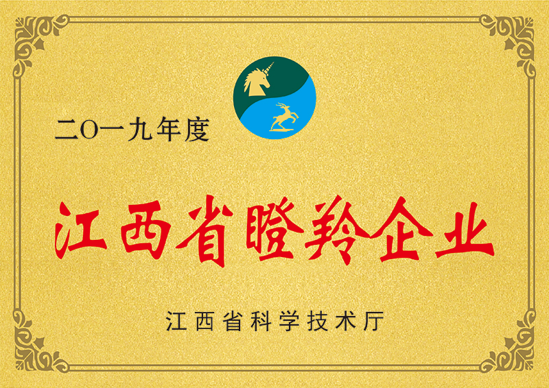 2021������ҵ